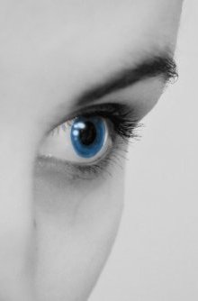 auge_fertig_small